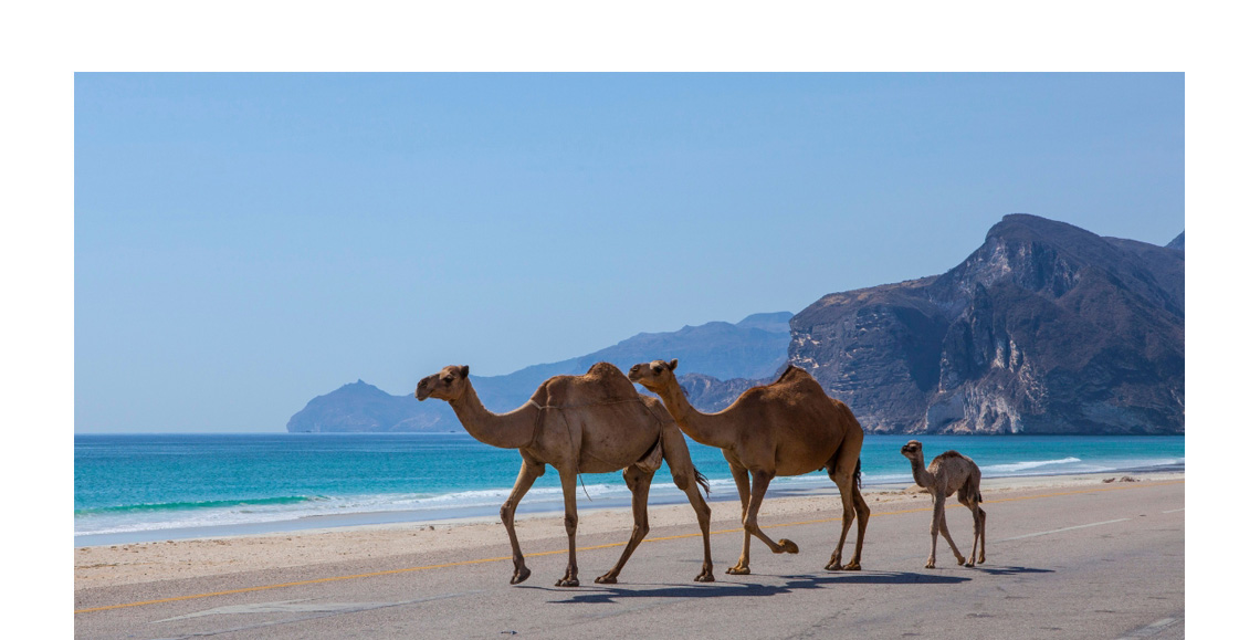 Omani ajánlatok